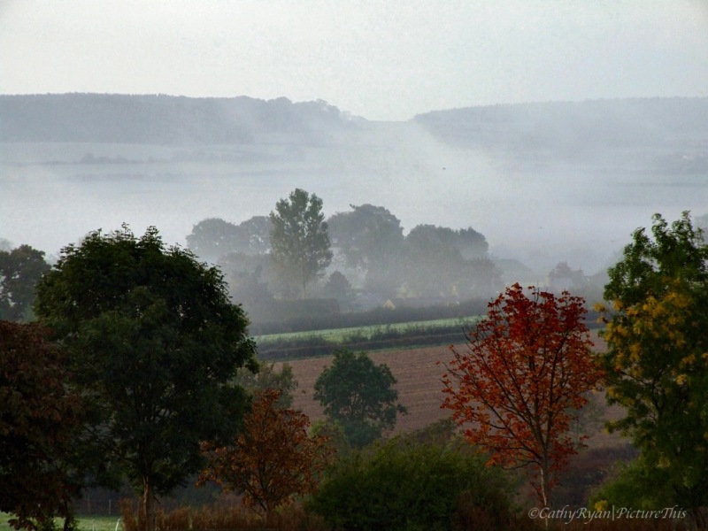 #SundayStills ~ Misty Mornings and Cloudy Skies #Landscape #Photography